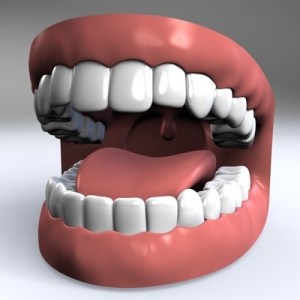 Mouth-model