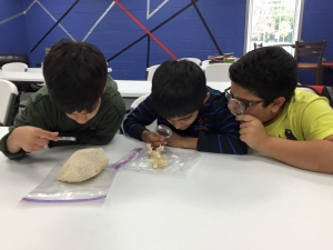 12019920_1232464550113793_7221085709932924836_n Boys science